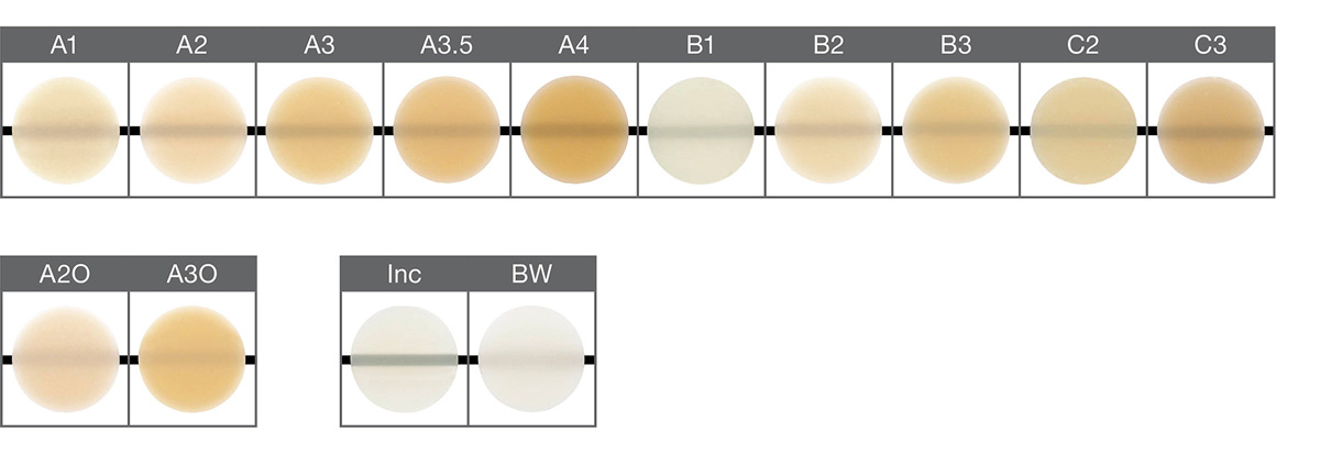 The shades A1-C3 correspond to the VITA Classical Shades. VITA is a registered trademark of VITA Zahnfabrik H. Rauter GmbH & Co. KG, Bad Säckingen, Germany.